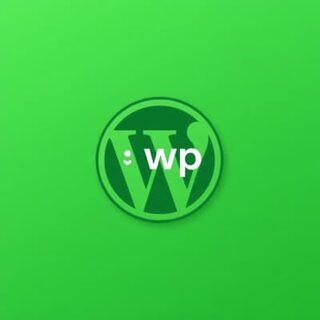 Wp Wpcli And Ops